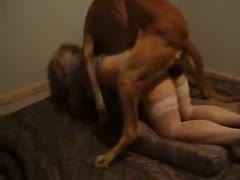 Petite teen animal sex with dog
